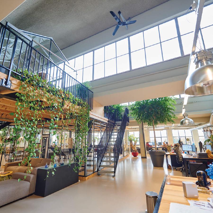 IDEA | Leading Agencies in Live
