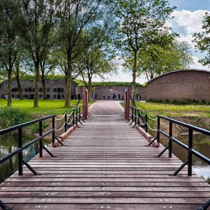 IDEA | Leading Agencies in Live