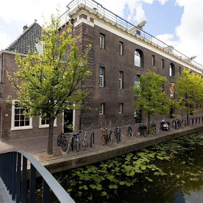 IDEA | Leading Agencies in Live