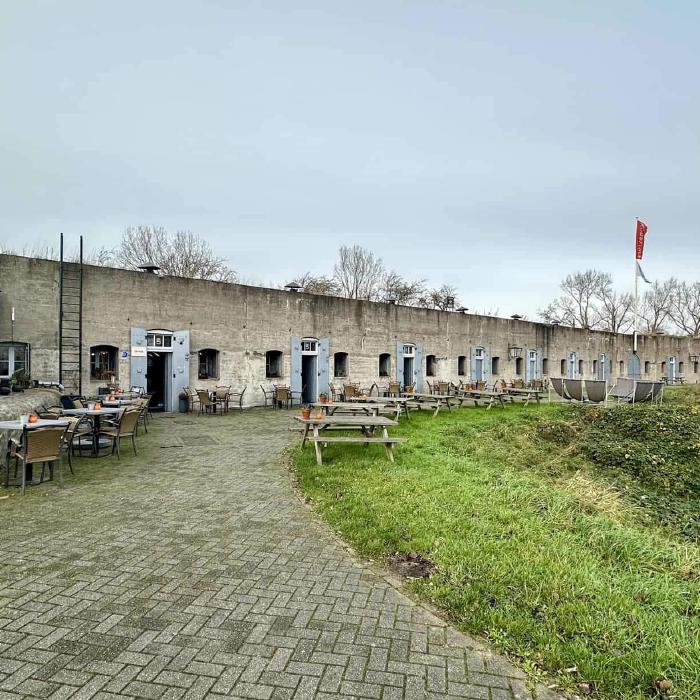 IDEA | Leading Agencies in Live