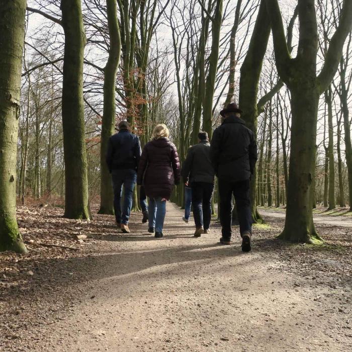 IDEA | Leading Agencies in Live