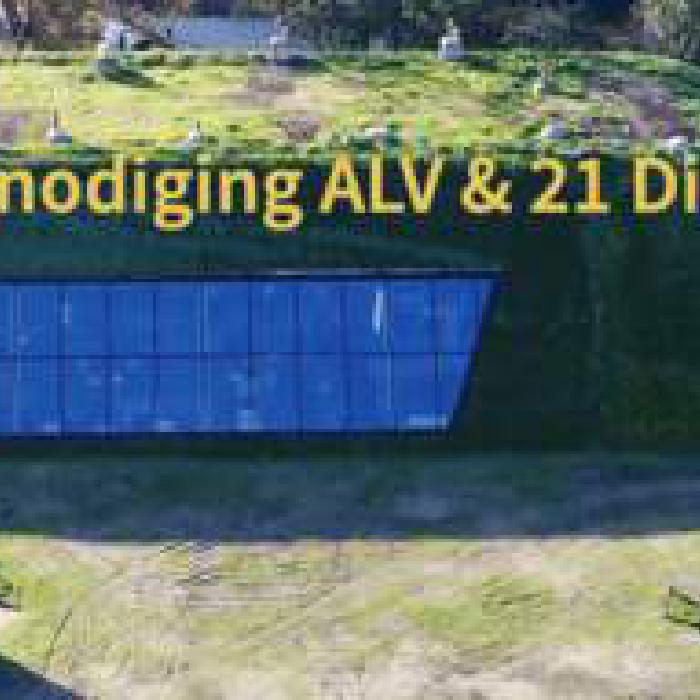 IDEA | Leading Agencies in Live